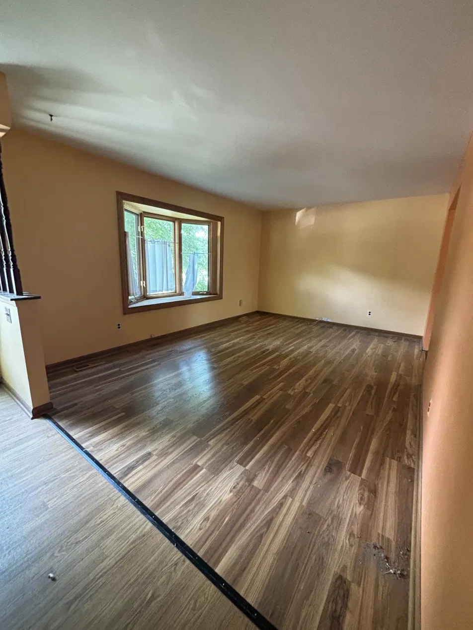 Living Room Renovation — before